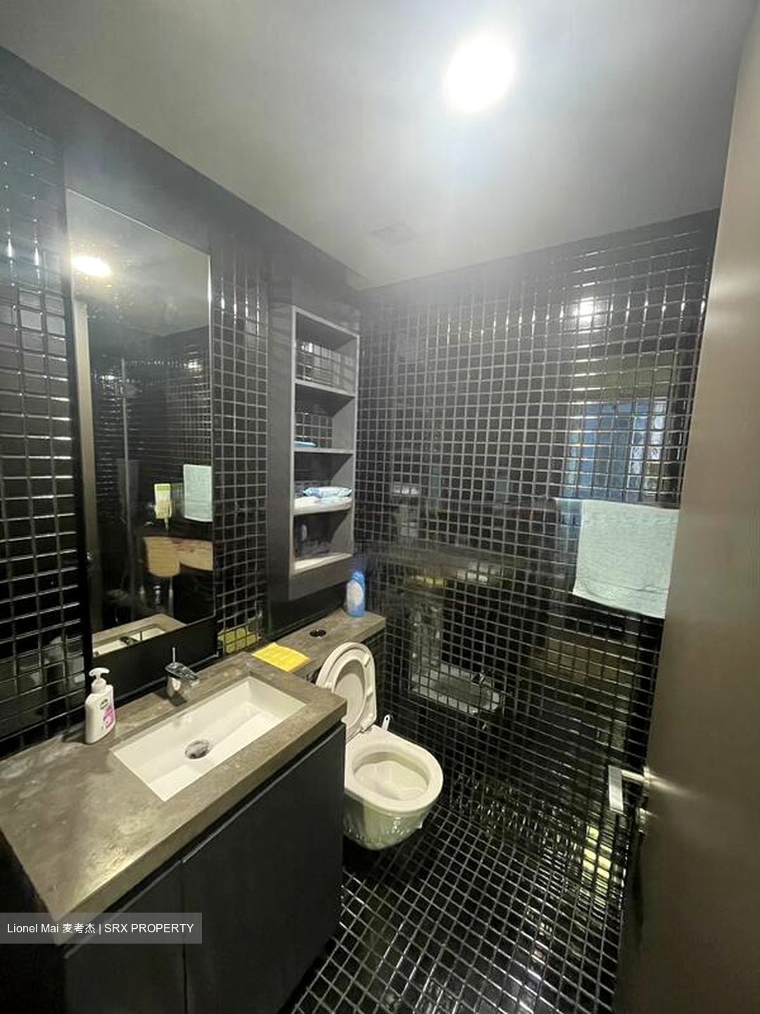 Skysuites@Anson (D2), Apartment #492723921
